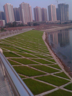 四川南充護(hù)城河治理生態(tài)混凝土項(xiàng)目